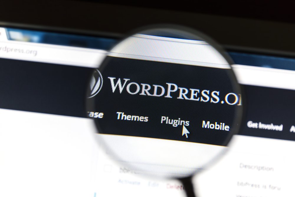 best wordpress plugins for business